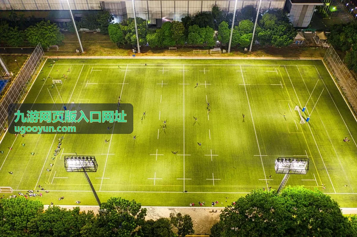 九游网页版入口网址的网页版打开界面示意